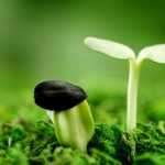 Một ngày nào đó bạn sẽ biết ơn những gian khổ mà mình đã vượt qua