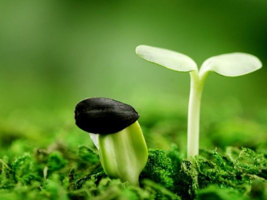 Một ngày nào đó bạn sẽ biết ơn những gian khổ mà mình đã vượt qua
